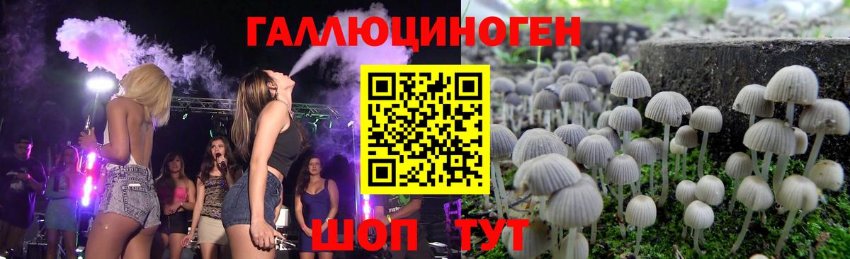 Галлюциногенные грибы мицелий Волоколамск